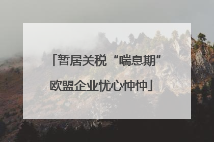 暂居关税“喘息期” 欧盟企业忧心忡忡