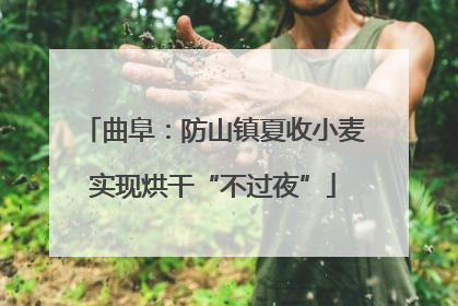 曲阜：防山镇夏收小麦实现烘干“不过夜”