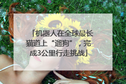 机器人在全球最长猫道上“遛狗”，完成3公里行走挑战