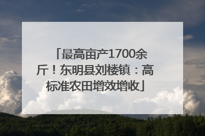 最高亩产1700余斤！东明县刘楼镇：高标准农田增效增收