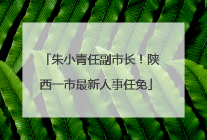 朱小青任副市长！陕西一市最新人事任免