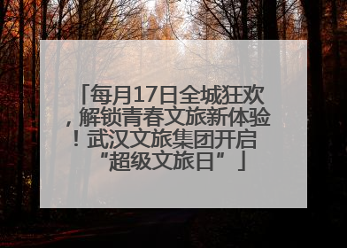 每月17日全城狂欢，解锁青春文旅新体验！武汉文旅集团开启 “超级文旅日”