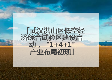 武汉洪山区低空经济综合试验区建设启动，“1+4+1”产业布局初现