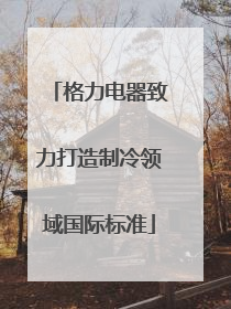 格力电器致力打造制冷领域国际标准