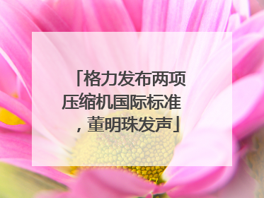 格力发布两项压缩机国际标准，董明珠发声