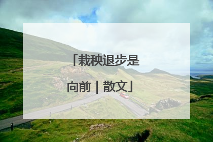 栽秧退步是向前｜散文