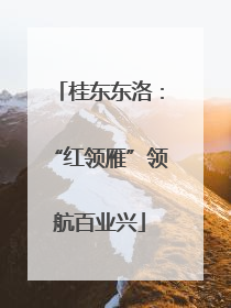 桂东东洛：“红领雁”领航百业兴