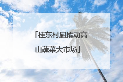 桂东村厨撬动高山蔬菜大市场