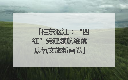 桂东沤江：“四红”党建领航绘就康氧文旅新画卷