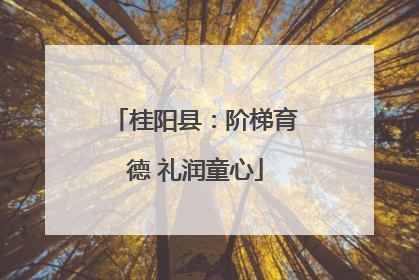 桂阳县：阶梯育德 礼润童心