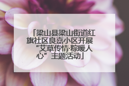 梁山县梁山街道红旗社区良嘉小区开展“艾草传情·粽暖人心”主题活动