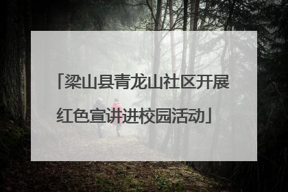 梁山县青龙山社区开展红色宣讲进校园活动