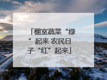 棚室蔬菜“绿”起来 农民日子“红”起来
