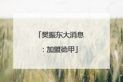 樊振东大消息：加盟德甲