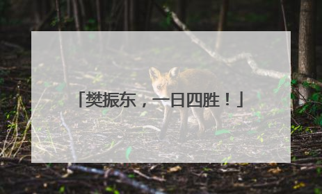 樊振东，一日四胜！