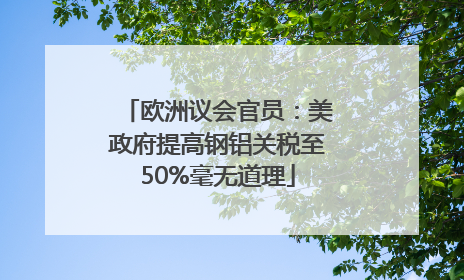 欧洲议会官员：美政府提高钢铝关税至50%毫无道理