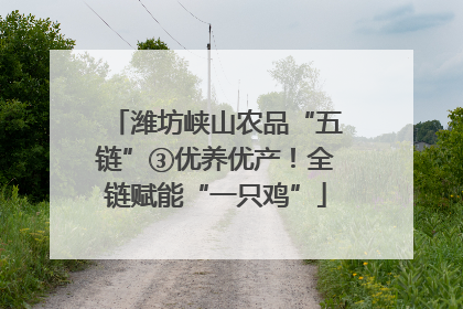 潍坊峡山农品“五链”③优养优产！全链赋能“一只鸡”
