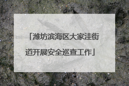 潍坊滨海区大家洼街道开展安全巡查工作