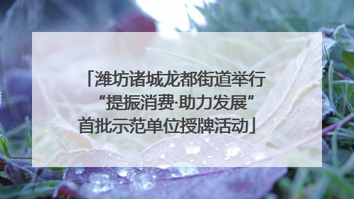 潍坊诸城龙都街道举行“提振消费·助力发展”首批示范单位授牌活动