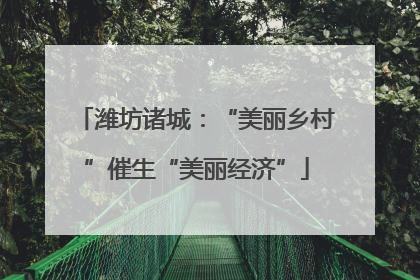 潍坊诸城：“美丽乡村”催生“美丽经济”