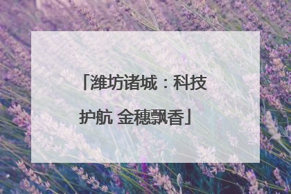 潍坊诸城：科技护航 金穗飘香