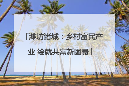 潍坊诸城：乡村富民产业 绘就共富新图景