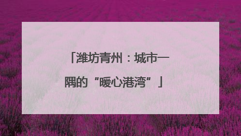 潍坊青州：城市一隅的“暖心港湾”