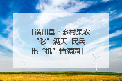 潢川县：乡村果农“愁”满天  民兵出“机”情满园