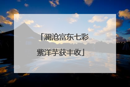澜沧富东七彩紫洋芋获丰收
