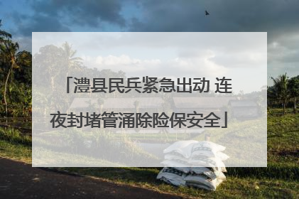 澧县民兵紧急出动 连夜封堵管涌除险保安全