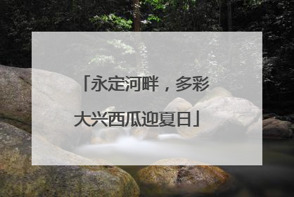 永定河畔，多彩大兴西瓜迎夏日