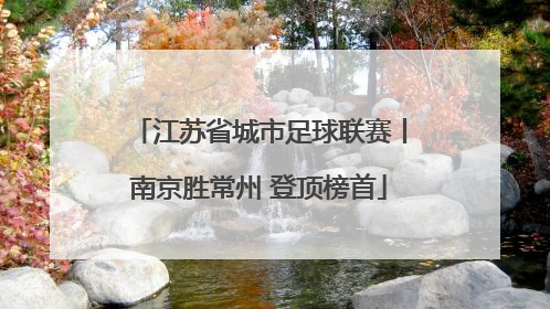 江苏省城市足球联赛丨南京胜常州 登顶榜首