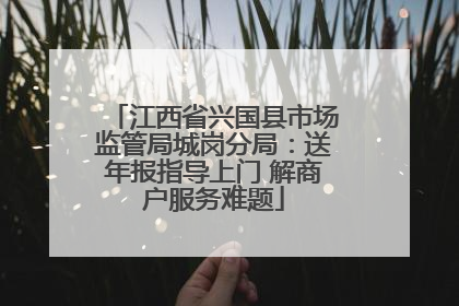 江西省兴国县市场监管局城岗分局：送年报指导上门 解商户服务难题