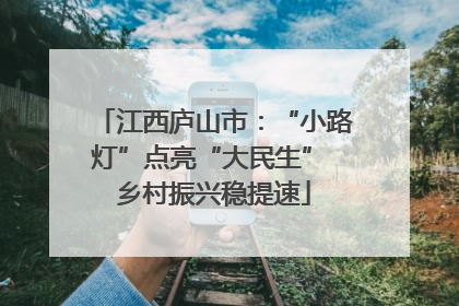江西庐山市：“小路灯”点亮“大民生” 乡村振兴稳提速