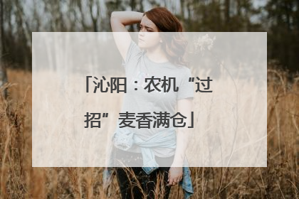 沁阳：农机“过招”麦香满仓