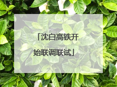 沈白高铁开始联调联试