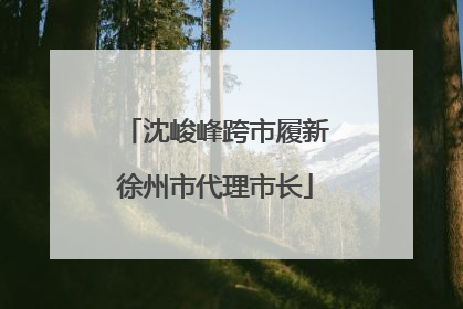 沈峻峰跨市履新徐州市代理市长