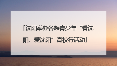 沈阳举办各族青少年“看沈阳、爱沈阳”高校行活动