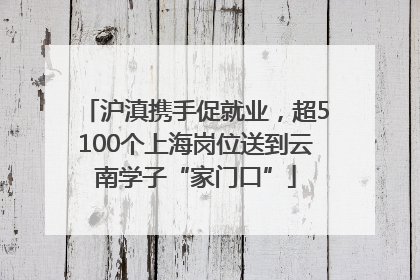 沪滇携手促就业，超5100个上海岗位送到云南学子“家门口”