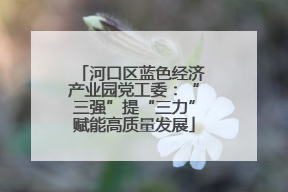 河口区蓝色经济产业园党工委：“三强”提“三力”赋能高质量发展