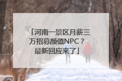 河南一景区月薪三万招募颜值NPC？最新回应来了