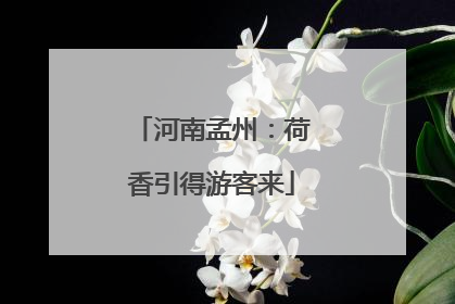 河南孟州：荷香引得游客来