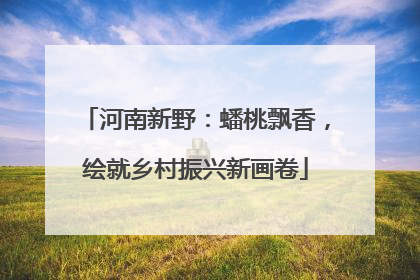 河南新野：蟠桃飘香，绘就乡村振兴新画卷
