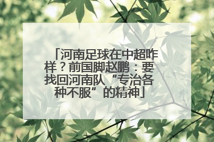 河南足球在中超咋样？前国脚赵鹏：要找回河南队“专治各种不服”的精神