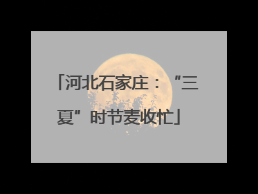 河北石家庄：“三夏”时节麦收忙