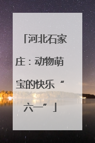 河北石家庄：动物萌宝的快乐“六一”