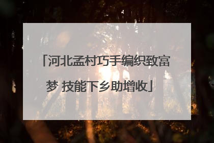 河北孟村巧手编织致富梦 技能下乡助增收
