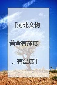 河北文物普查有速度、有温度