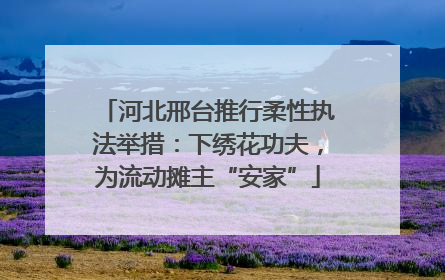 河北邢台推行柔性执法举措：下绣花功夫，为流动摊主“安家”