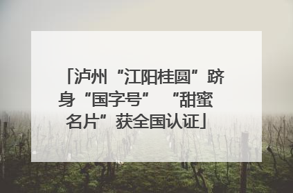 泸州“江阳桂圆”跻身“国字号” “甜蜜名片”获全国认证